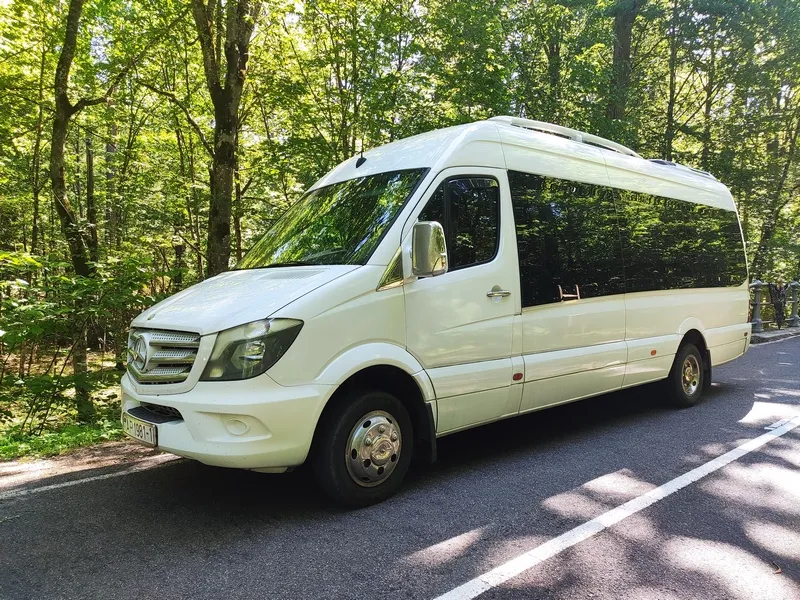 Автобус Mercedes-Benz Sprinter, 21 мест, TV, DVD, Кондиционер